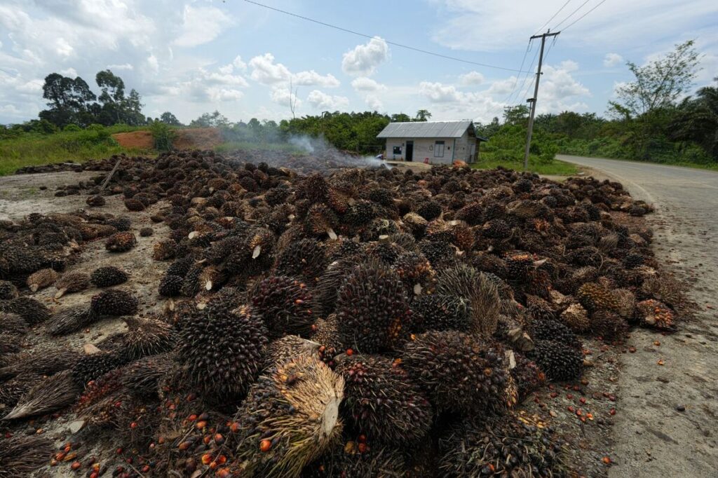 Indonesia Advances Export Control Plan Despite Uncertainty