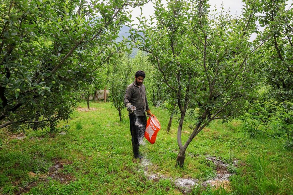 Bangladesh Gets $1 Billion World Bank Fertilizer, Food Loans
